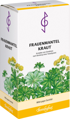 FRAUENMANTELKRAUT Tee