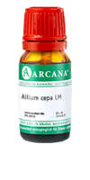 ALLIUM CEPA LM 12 Dilution