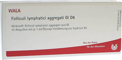 FOLLICULI LYMPHATICI aggregati GL D 6 Ampullen