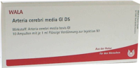 ARTERIA CEREBRI media GL D 5 Ampullen