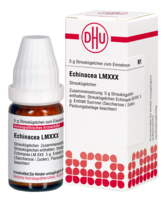 ECHINACEA HAB LM XXX Globuli