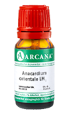 ANACARDIUM ORIENTALE LM 22 Dilution