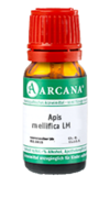 APIS MELLIFICA LM 19 Dilution