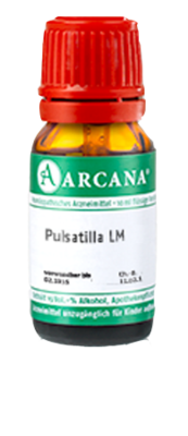 PULSATILLA LM 1 Dilution