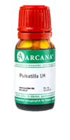 PULSATILLA LM 36 Dilution