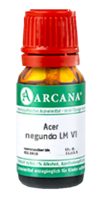 ACER negundo LM 6 Dilution