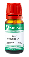 ACER negundo LM 24 Dilution