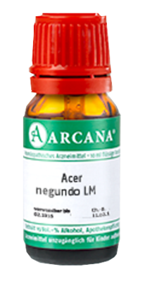 ACER negundo LM 26 Dilution