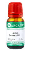 ALETRIS FARINOSA LM 20 Dilution