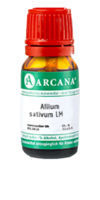 ALLIUM SATIVUM LM 29 Dilution