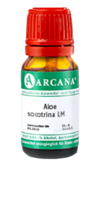 ALOE SOCOTRINA LM 3 Dilution