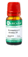 AMMONIACUM dorema LM 9 Dilution