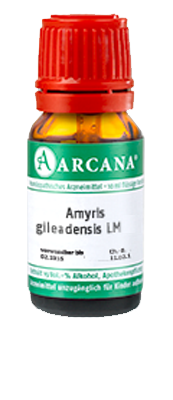 AMYRIS gileadensis LM 21 Dilution