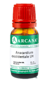 ANACARDIUM OCCIDENTALE LM 21 Dilution