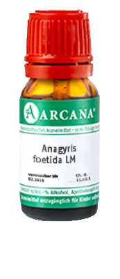 ANAGYRIS foetida LM 1 Dilution