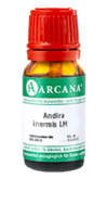 ANDIRA inermis LM 1 Dilution