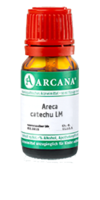 ARECA catechu LM 22 Dilution