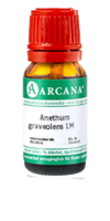 ANETHUM graveolens LM 10 Dilution